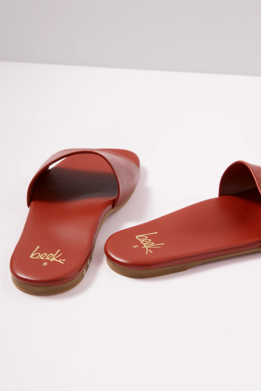 HoneyBird Slide - Image 3